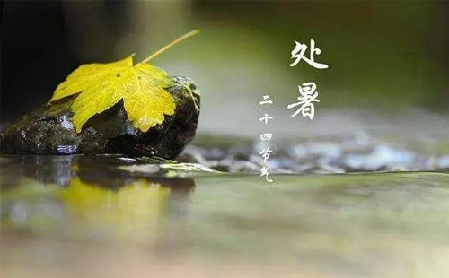 處暑將至，佳澤誠(chéng)與您共迎秋涼